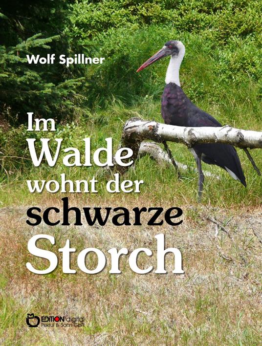 Im Walde wohnt der schwarze Storch - Wolf Spillner - ebook