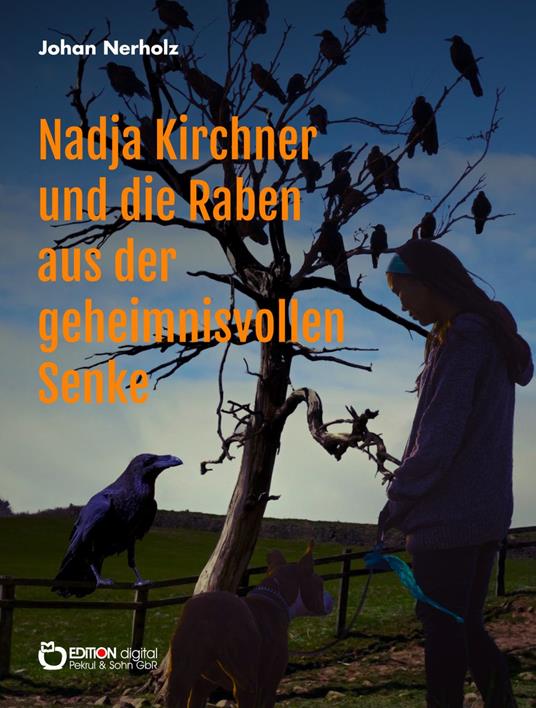 Nadja Kirchner und die Raben aus der geheimnisvollen Senke - Johan Nerholz - ebook