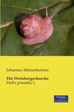 Die Weinbergschnecke: Helix pomatia L.