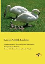 Anfangsgründe der theoretischen und angewandten Naturgeschichte der Tiere: Zweiter Teil - Dritte Abteilung: Von den Vögeln