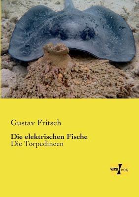 Die elektrischen Fische: Die Torpedineen - Gustav Fritsch - cover