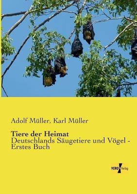 Tiere der Heimat: Deutschlands Säugetiere und Vögel - Erstes Buch - Adolf Müller,Karl Müller - cover