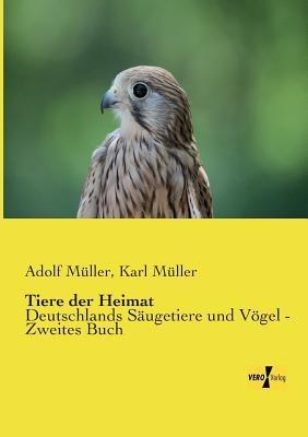 Tiere der Heimat: Deutschlands Säugetiere und Vögel - Zweites Buch - Adolf Müller,Karl Müller - cover