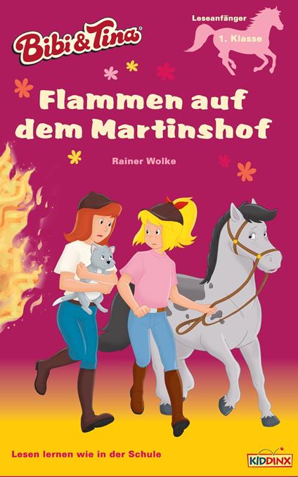 Bibi & Tina - Flammen auf dem Martinshof - Rainer Wolke - ebook