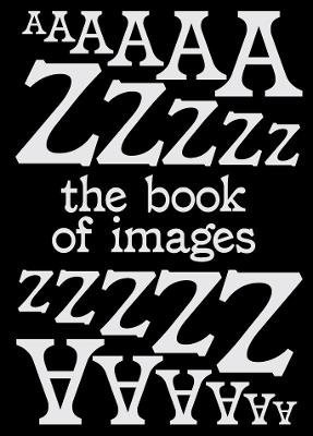 The Book of Images An illustrated dictionary of visual experiences From A to Z - cover