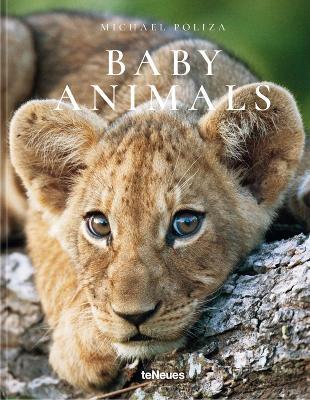 Baby Animals - Michael Poliza - cover