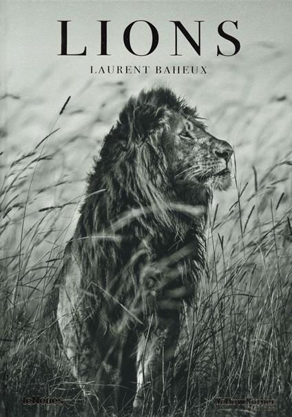 Lions. Ediz. francese, inglese e tedesca - Laurent Baheux - copertina