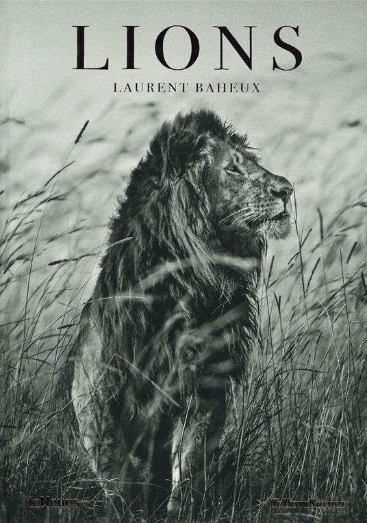 Lions. Ediz. francese, inglese e tedesca - Laurent Baheux - copertina