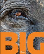 Big: A Photographic Album of the World's Largest Animals