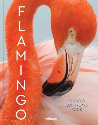 Flamingo - Claudio Contreras Koob - cover