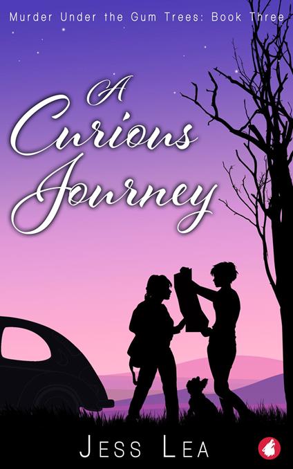 A Curious Journey