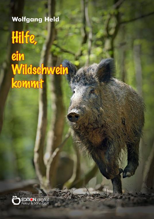 Hilfe, ein Wildschwein kommt - Wolfgang Held - ebook