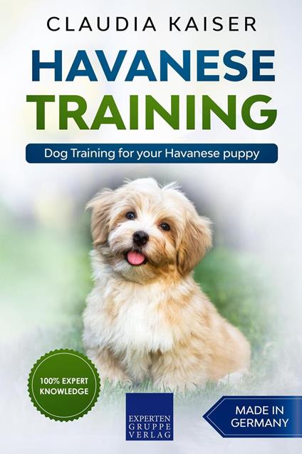 Havanese Training: Dog Training for Your Havanese Puppy