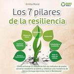 Los 7 pilares de la resiliencia: Cómo entrenar la resiliencia con los métodos de poder, volverse resistente al estrés y construir una resiliencia de hierro (incluye ejercicios, test & Workbook)