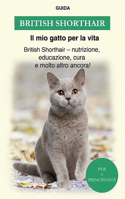 British shorthair - Guida Il mio gatto per la vita - ebook