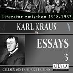 Essays 3
