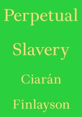 Perpetual Slavery - Ciarán Finlayson - cover