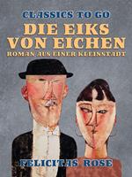 Die Eiks von Eichen, Roman aus einer Kleinstadt