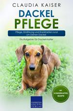 Dackel Pflege