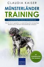Münsterländer Training: Hundetraining für Deinen Münsterländer