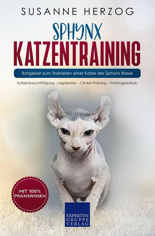 Sphynx Katzentraining - Ratgeber zum Trainieren einer Katze der Sphynx Rasse