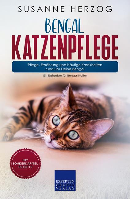 Bengal Katzenpflege – Pflege, Ernährung und häufige Krankheiten rund um Deine Bengal