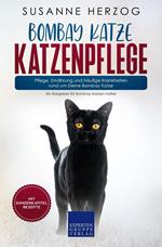 Bombay Katze Katzenpflege – Pflege, Ernährung und häufige Krankheiten rund um Deine Bombay Katze