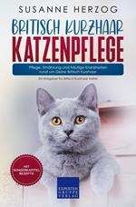 Britisch Kurzhaar Katzenpflege – Pflege, Ernährung und häufige Krankheiten rund um Deine Britisch Kurzhaar