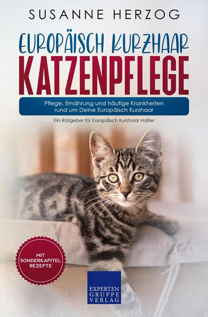 Europäisch Kurzhaar Katzenpflege – Pflege, Ernährung und häufige Krankheiten rund um Deine Europäisch Kurzhaar