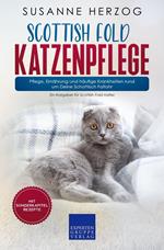 Scottish Fold Katzenpflege – Pflege, Ernährung und häufige Krankheiten rund um Deine Schottisch Faltohr