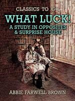 What Luck! A Study in Opposites & Surprise House