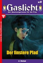 Der finstere Pfad