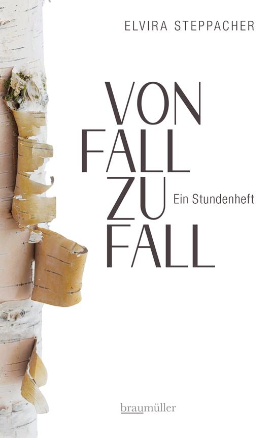 Von Fall zu Fall - Elvira Steppacher - ebook