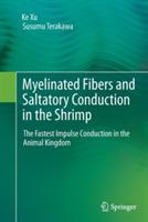 Myelinated Fibers and Saltatory Conduction in the Shrimp: The Fastest Impulse Conduction in the Animal Kingdom - Ke Xu,Susumu Terakawa - cover
