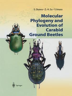 Molecular Phylogeny and Evolution of Carabid Ground Beetles - S. Osawa,Z.-H. Su,Y. Imura - cover