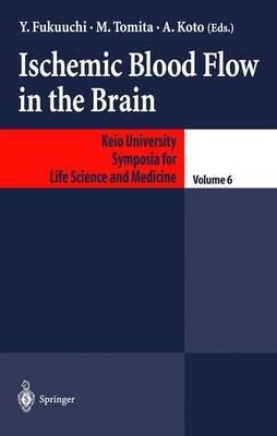Ischemic Blood Flow in the Brain - cover