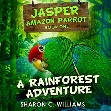 A Rainforest Adventure