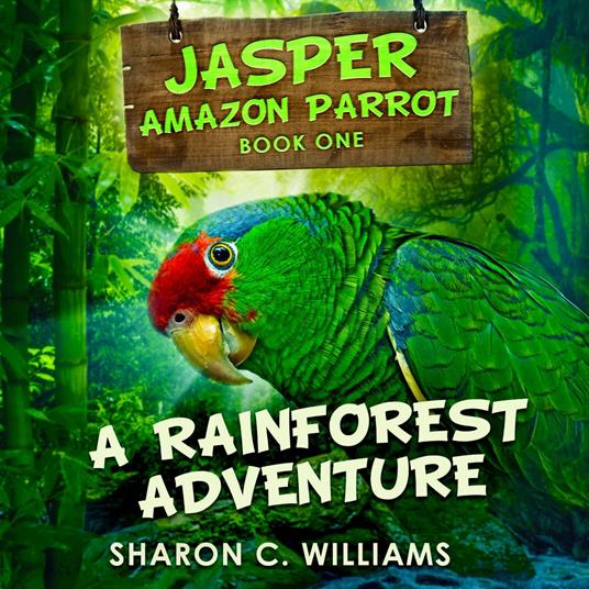 A Rainforest Adventure
