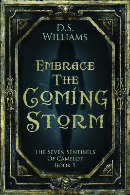Embrace The Coming Storm - D S Williams - cover