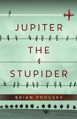 Jupiter the Stupider - Brian Prousky - cover