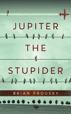 Jupiter the Stupider - Brian Prousky - cover