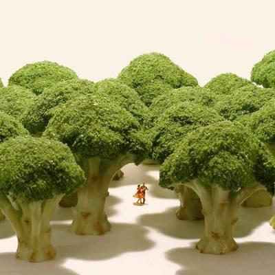 Small Wonders: Life Portrait in Miniature - Tatsuya Tanaka - cover