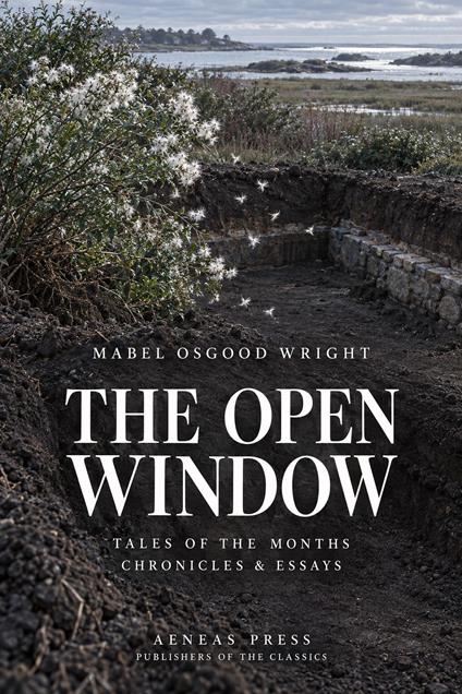The Open Window