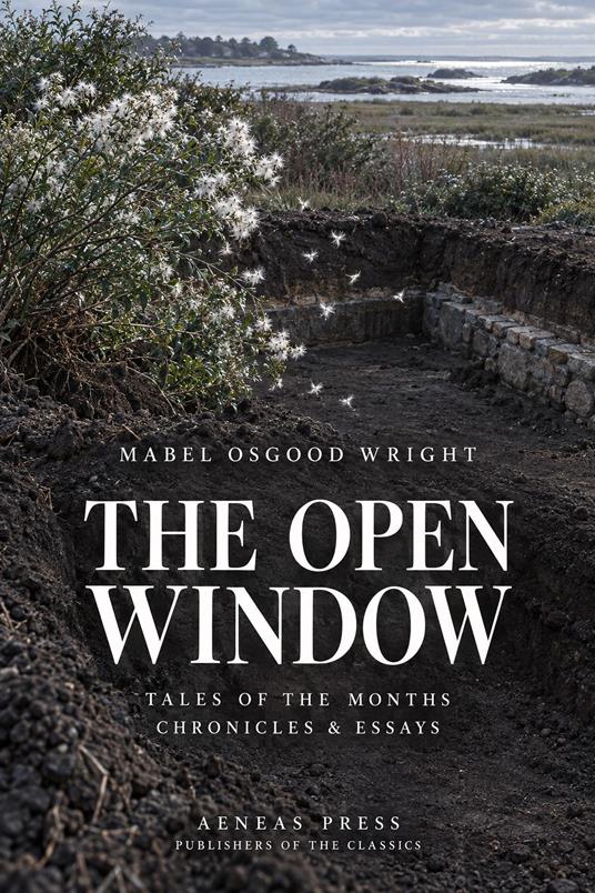 The Open Window