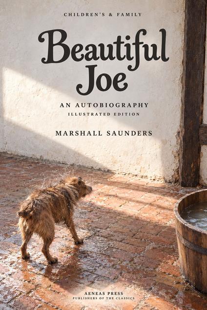 Beautiful Joe - Marshall Saunders - ebook