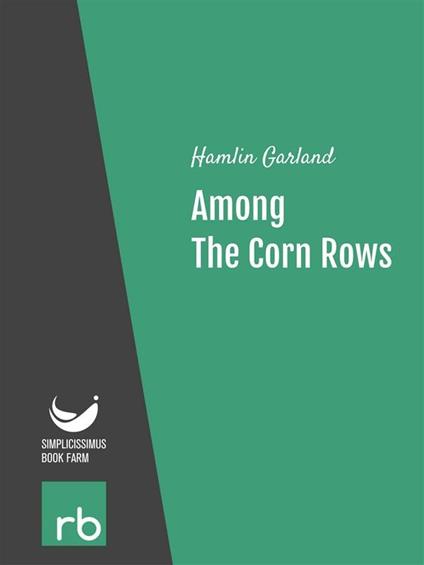 Among the corn rows