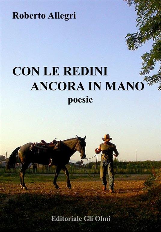 Con le redini ancora in mano - Roberto Allegri - ebook