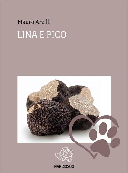 Lina e Pico - Mauro Arzilli - ebook