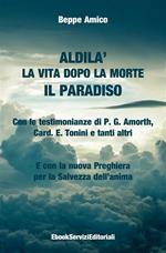 Aldilà. La vita dopo la morte. Il paradiso. Con le testimonianze di p. G. Amorth, card. E. Tonini e tanti altri. E con la nuova preghiera per la salvezza dell'anima