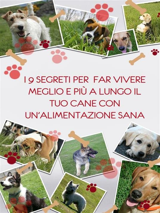 I 9 segreti per far vivere meglio e più a lungo il tuo cane con un'alimentazione sana - Michele Sorrentino - ebook